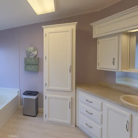 MASTER BATHROOM DECLUTTERED WITH AI