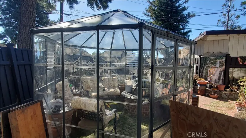 This green house is inside the garage studio patio.