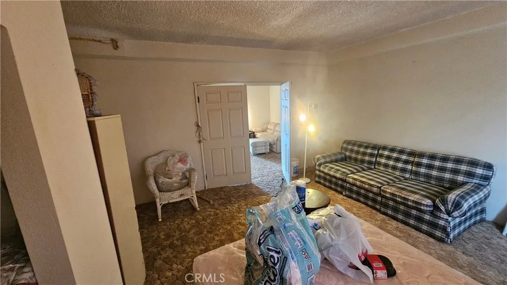 56727 Cone Boulevard, Landers, California 92285 home-pic-9