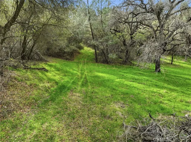 Driveway entering property