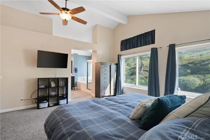 16 San Carlos, Rancho Santa Margarita, California 92688