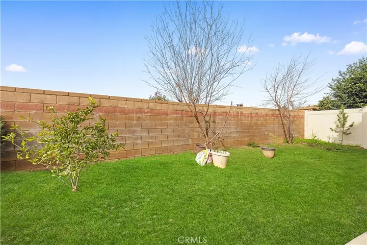 Fruit trees: Pomegranate, guava, white mulberry, jujube, orange & 4 white peach