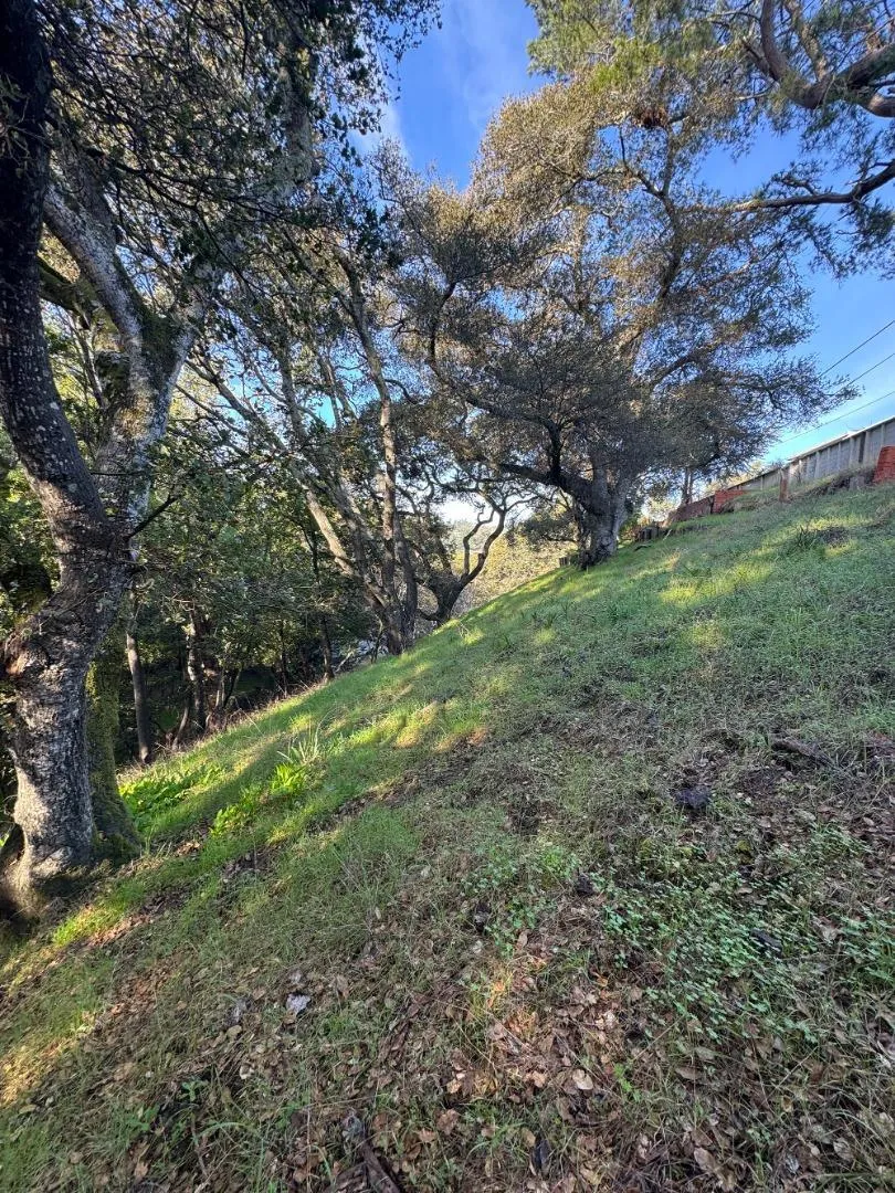 0 Parrott Drive, San Mateo, California 94402 — photo 4