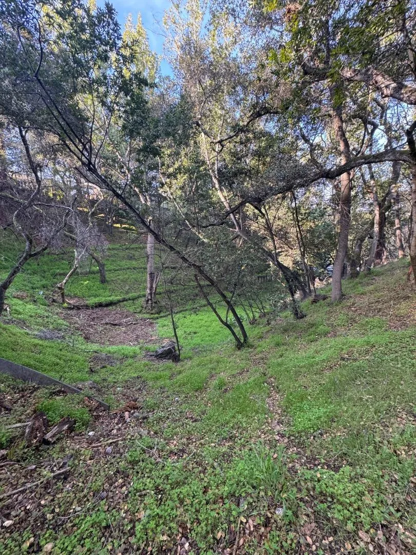 0 Parrott Dr