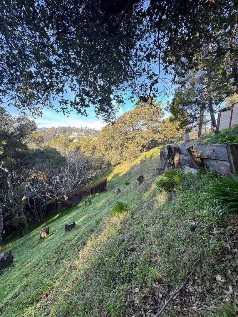 0 Parrott Drive, San Mateo, California 94402 — photo 5