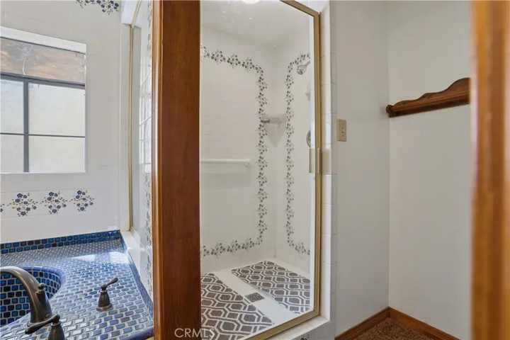 Primary Shower