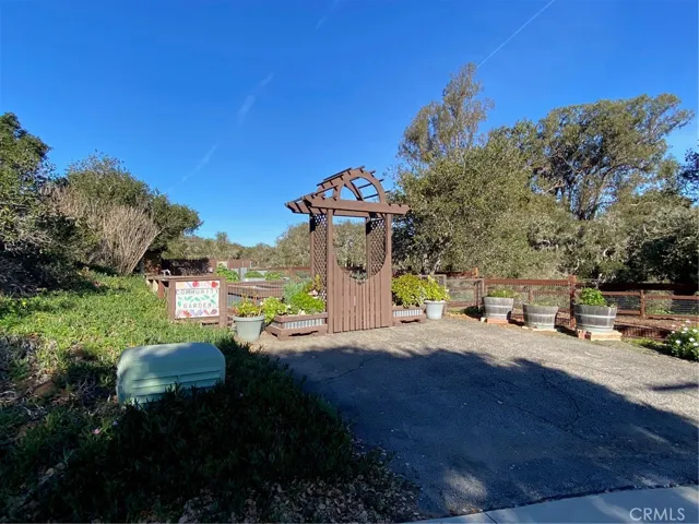 Daisy Hill's Garden and
Dog Park