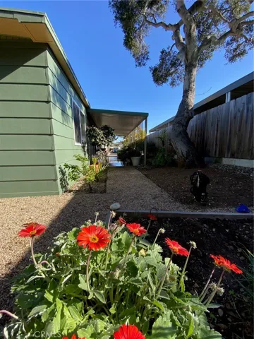 Plenty of yard, with a raised garden bed
