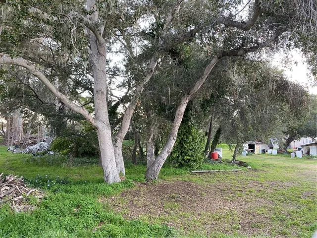 Behind the back fence