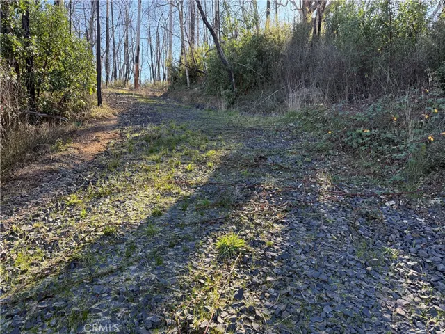 0 Inalane, Berry Creek, California 95916 — photo 4