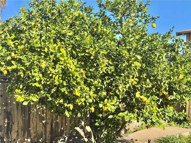 32156 Machado, Lake Elsinore, California 92530