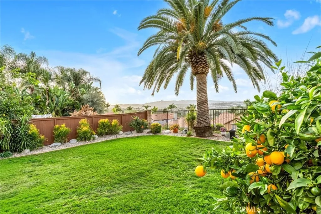 28355 Via Alfonse, Laguna Niguel, California 92677 home-pic-31