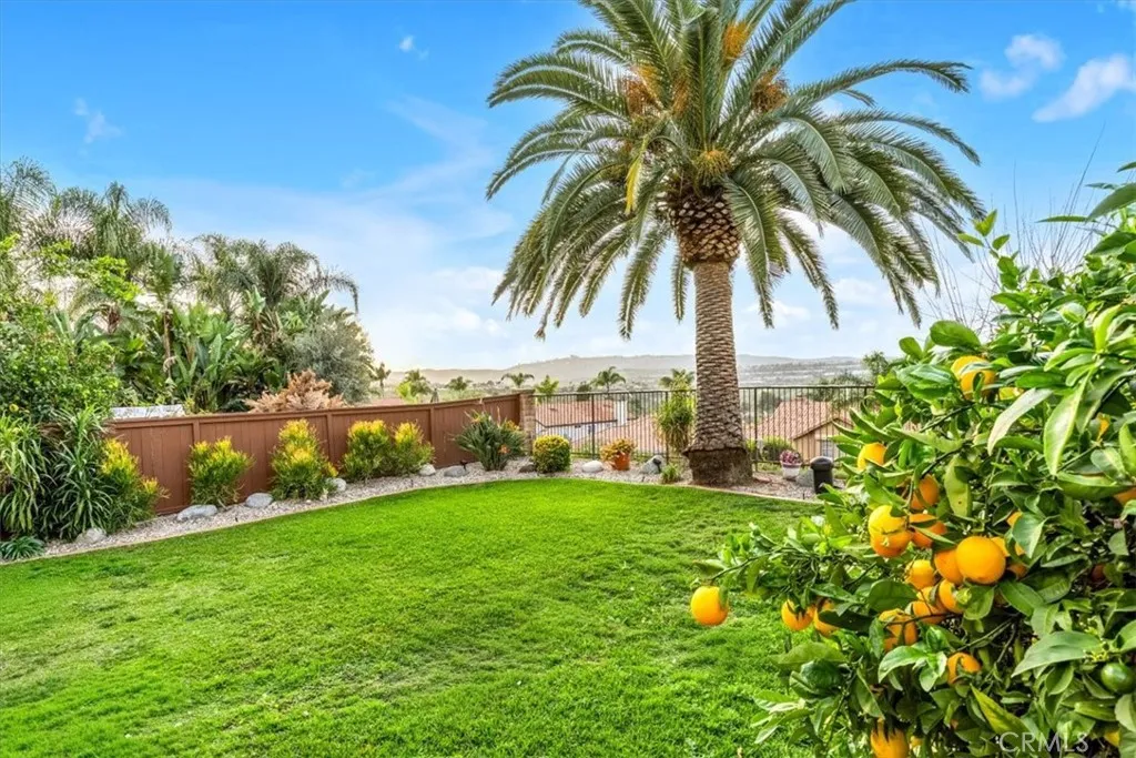 28355 Via Alfonse, Laguna Niguel, California 92677 home-pic-32