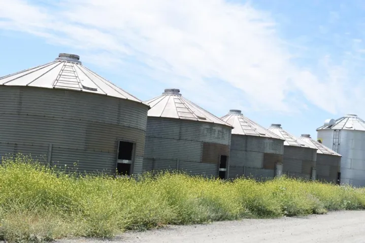 16071 Tyler Island Road, Isleton, California 95641