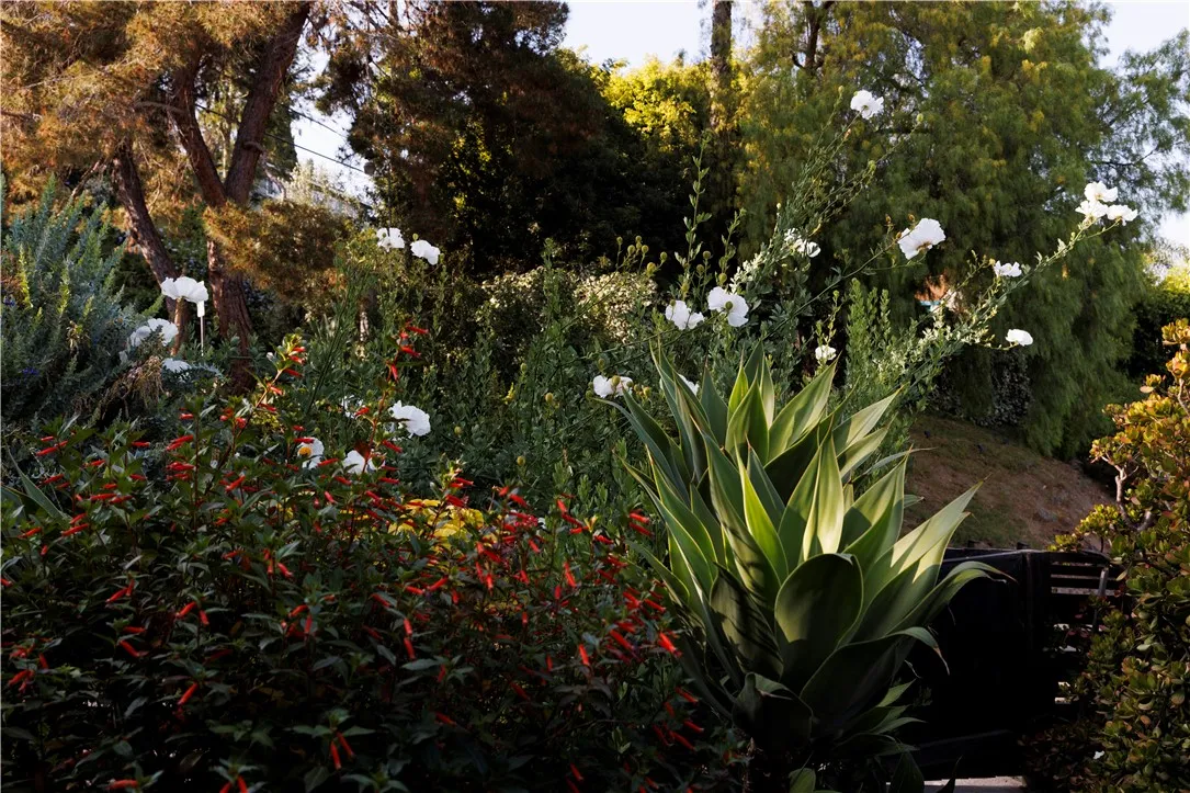 2958 Swan, Los Angeles, California 90026 home-pic-36