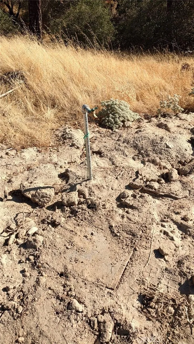 Water on property