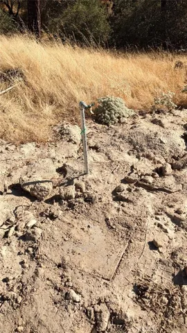 Water on property