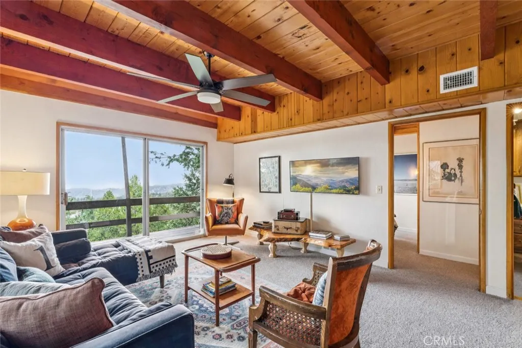 Lower Level Family Room