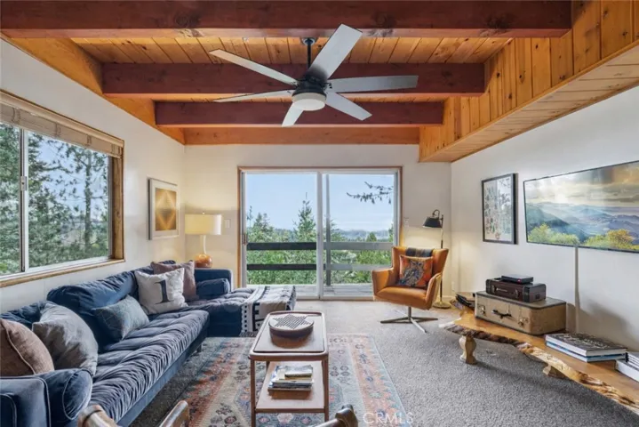 Lower Level Family Room