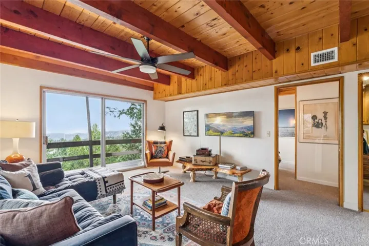 Lower Level Family Room
