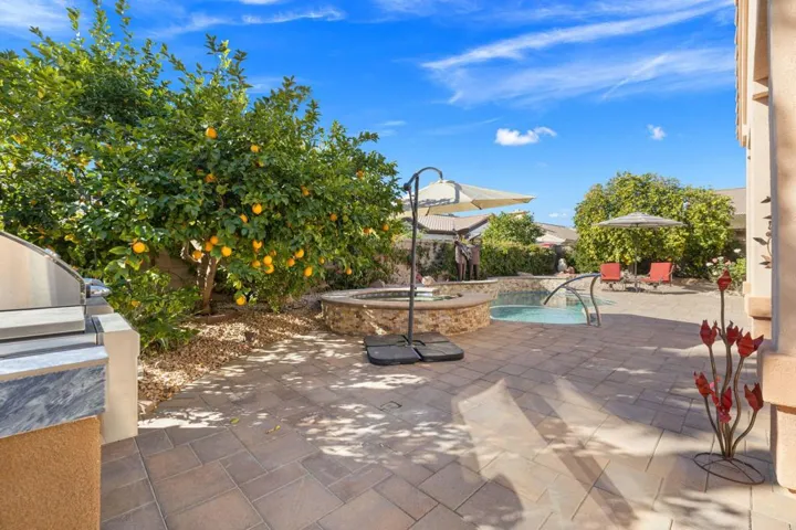 15-web-or-mls-2H8A6493