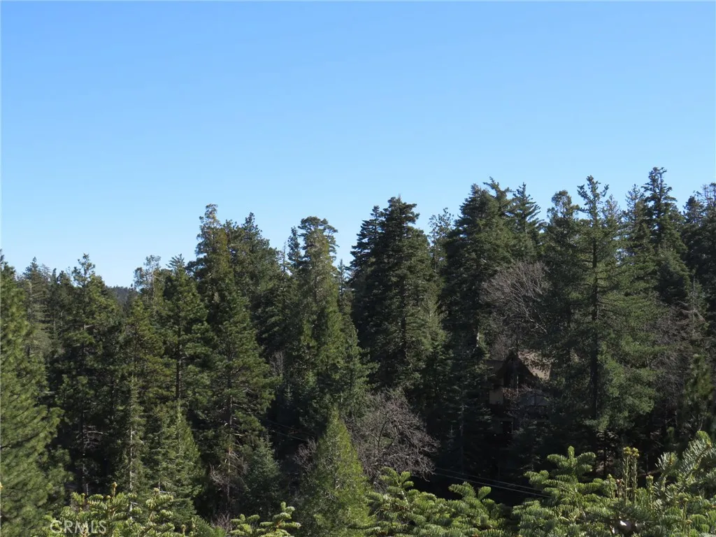 26335 Walnut Hills Drive, Lake Arrowhead, California 92352 home-pic-8