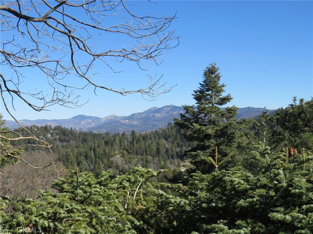 26335 Walnut Hills Drive, Lake Arrowhead, California 92352 home-pic-7