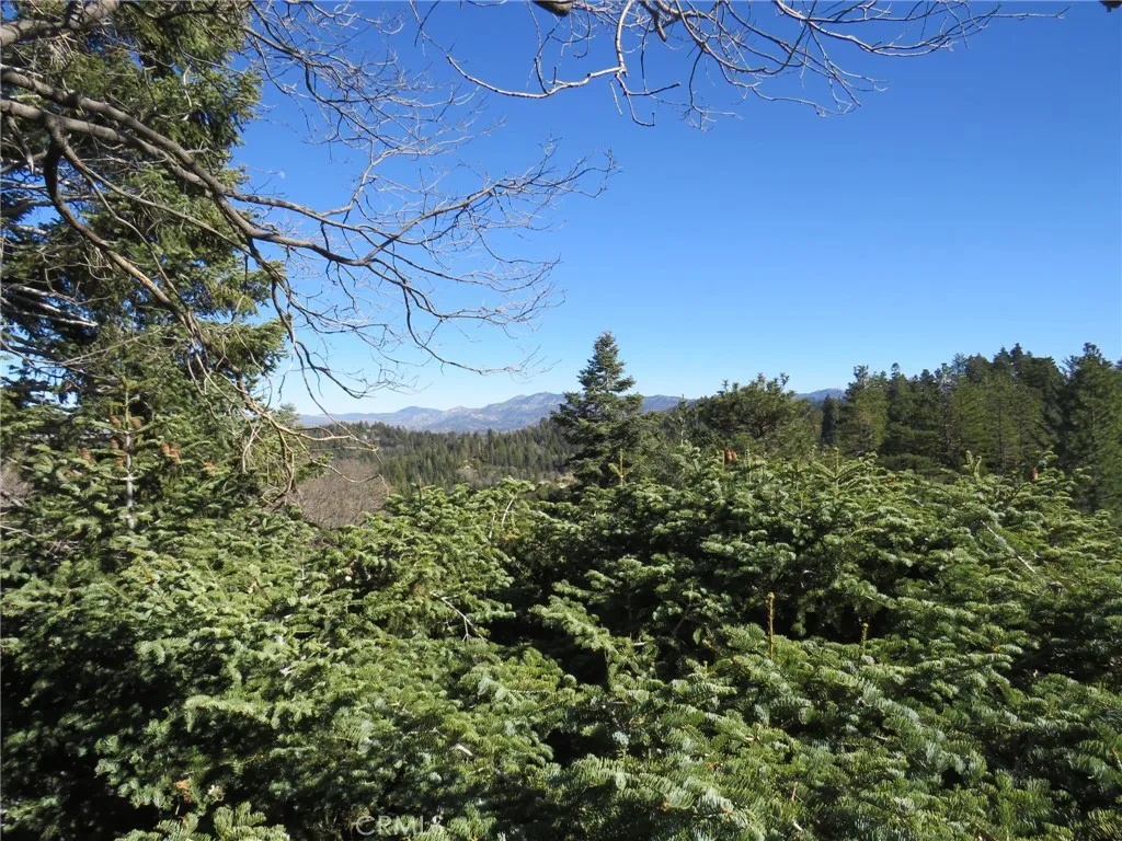 26335 Walnut Hills Drive, Lake Arrowhead, California 92352 home-pic-9