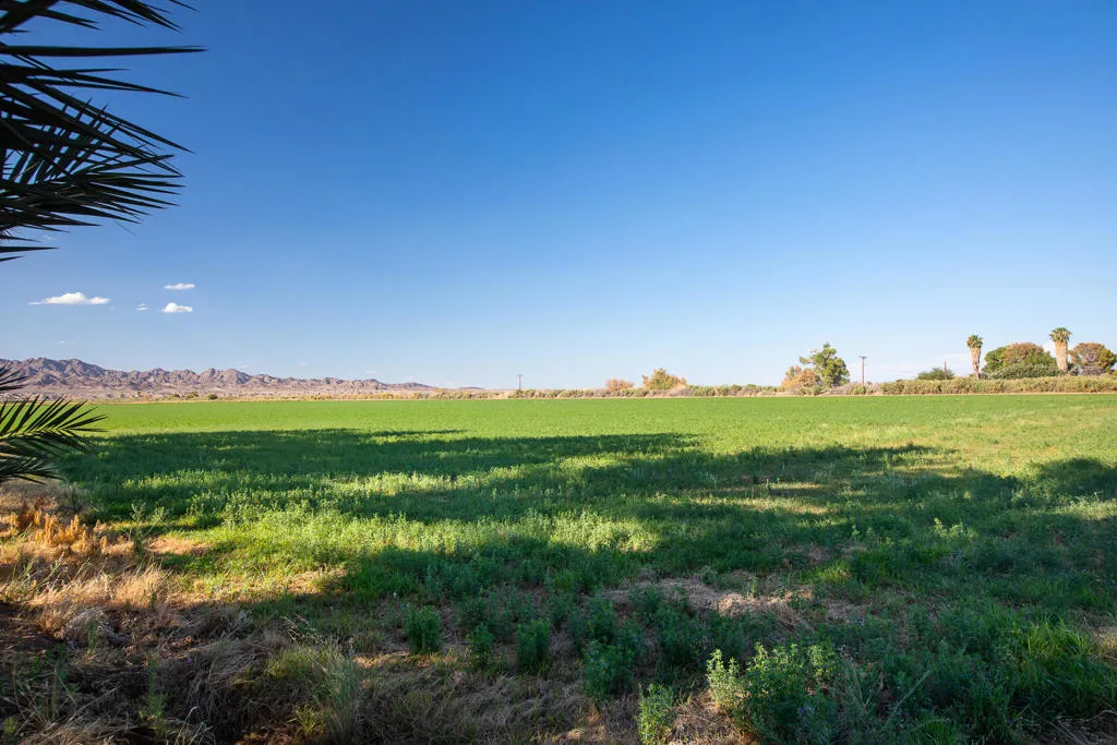 9645 4th Avenue, Blythe, California 92225 home-pic-34