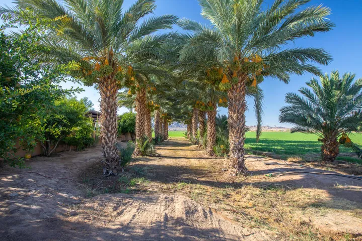 D9384481-19A9-413E-B333-07F0A8732C9D