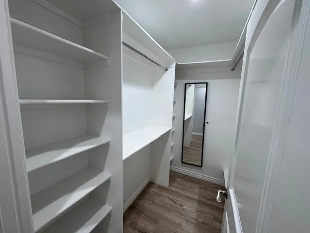 Master Walking Closet
