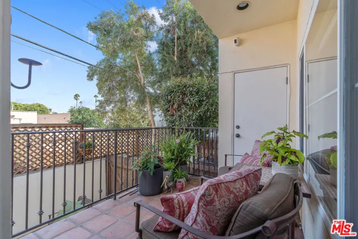 Private Patio with Palm Tree V