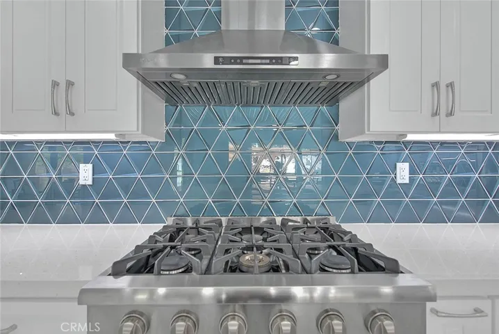 Gourmet 6 burner stove