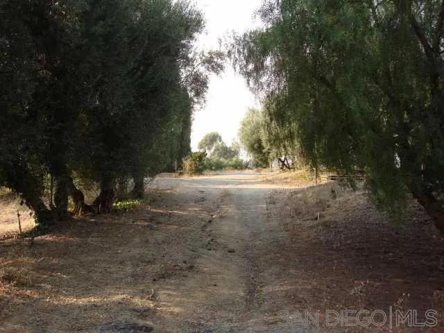 1 of the 2 roads entering the property