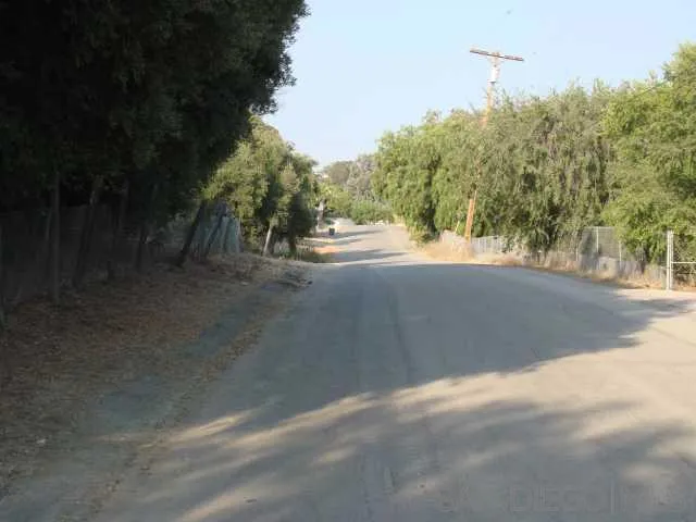 Quite tree lined street