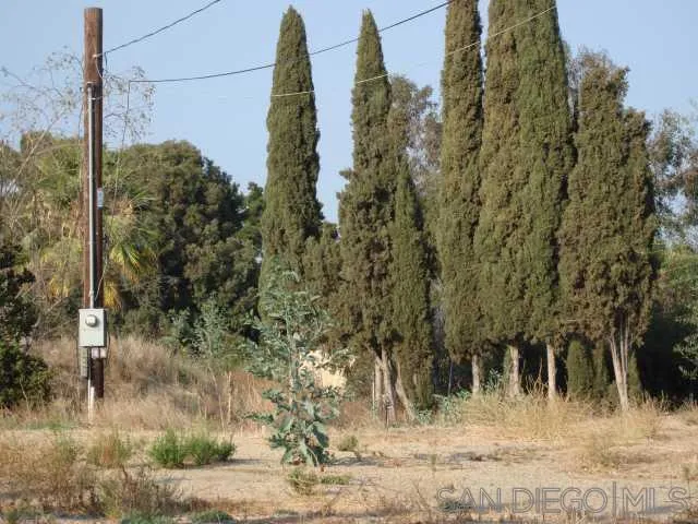 Another of many areas that are protected by italian cypress and Olive trees
