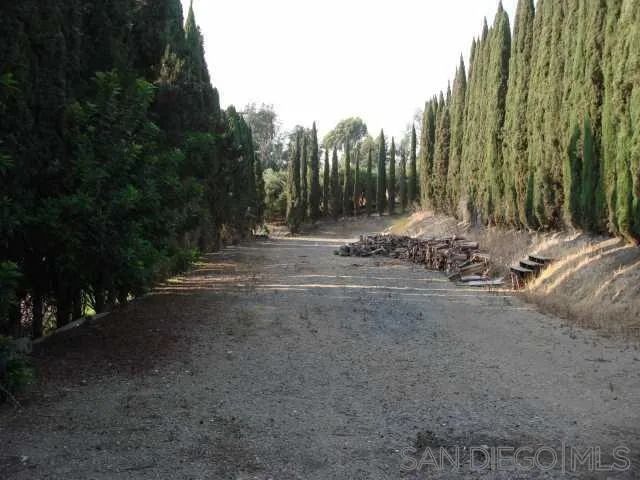 One of the many flat area's on the property