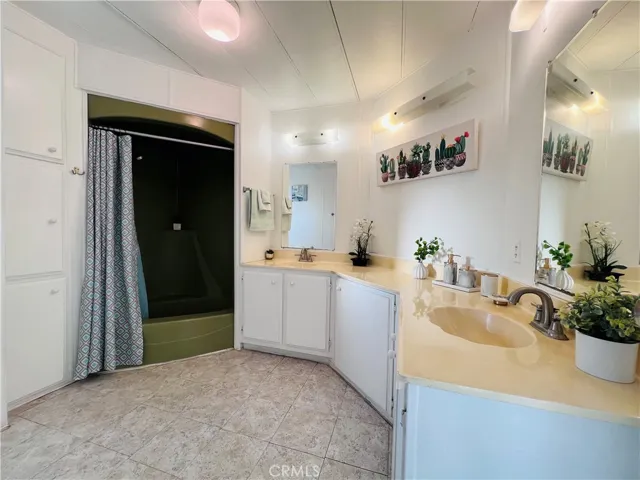 Master bathroom - view 1