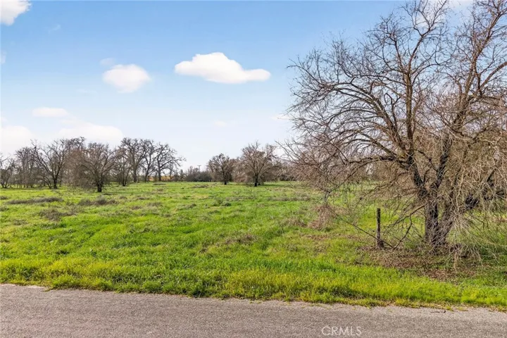 4085 County Road 203, Hamilton City, California 95951
