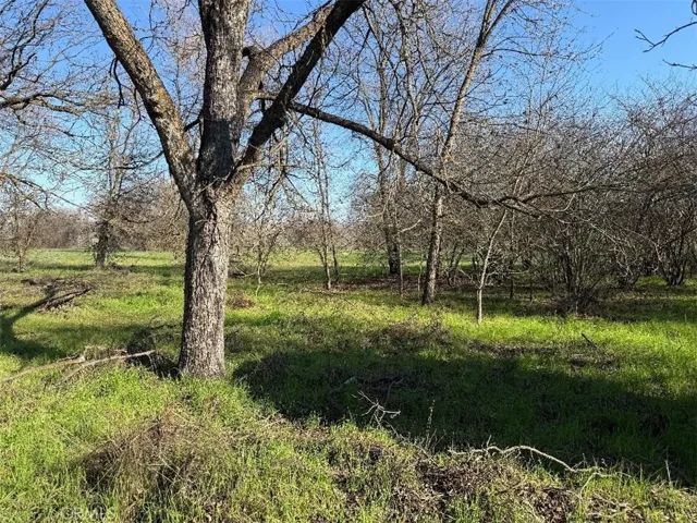 4085 County Road 203, Hamilton City, California 95951