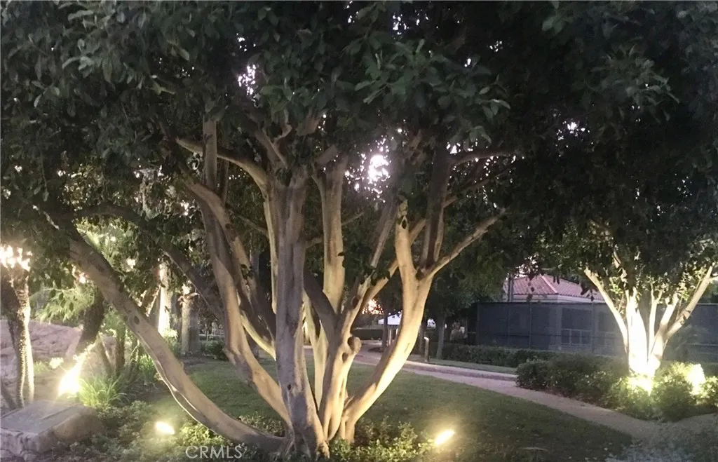 21531 Paseo Palmetto, Mission Viejo, California 92692 home-pic-35