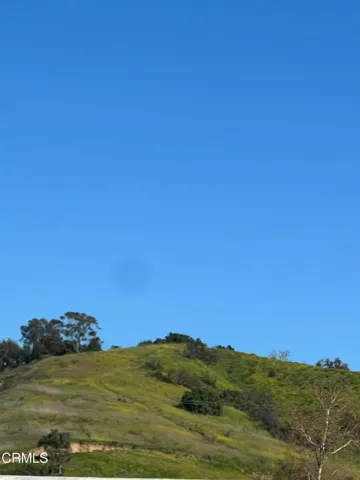 Hillside