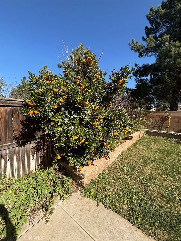 1064 Queen Annes Lane, Beaumont, California 92223 home-pic-52