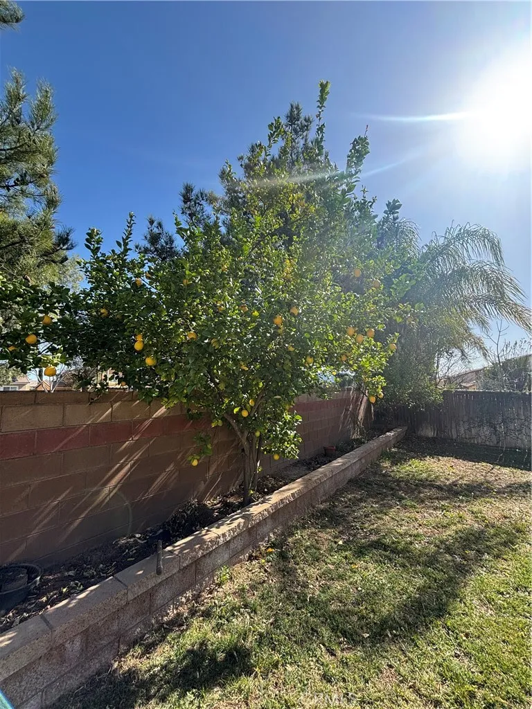 1064 Queen Annes Lane, Beaumont, California 92223 home-pic-53