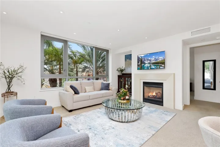 Lush view of the palm trees