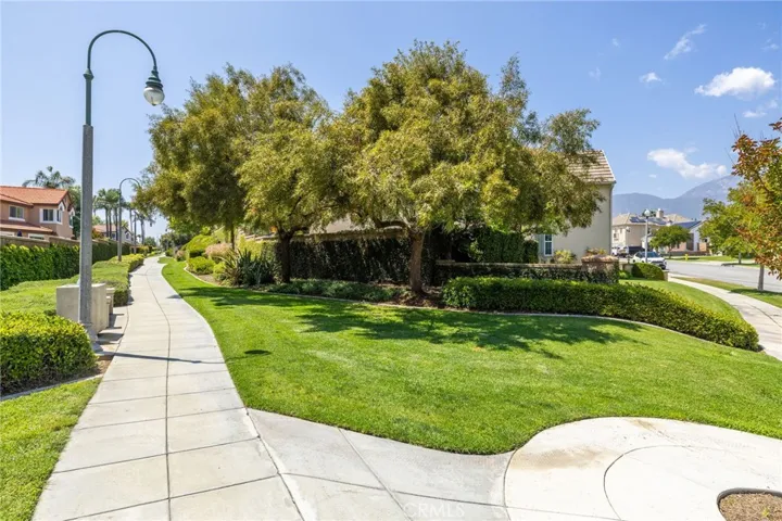 Walking Path
