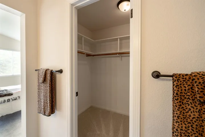 Walk in closet featuring light colored carpet