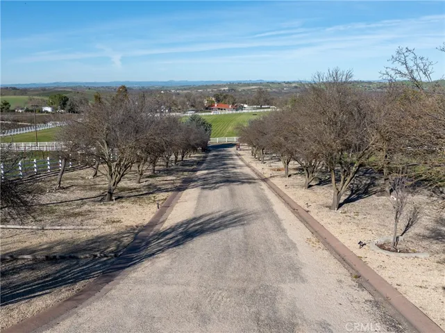 Tree lined driveway.