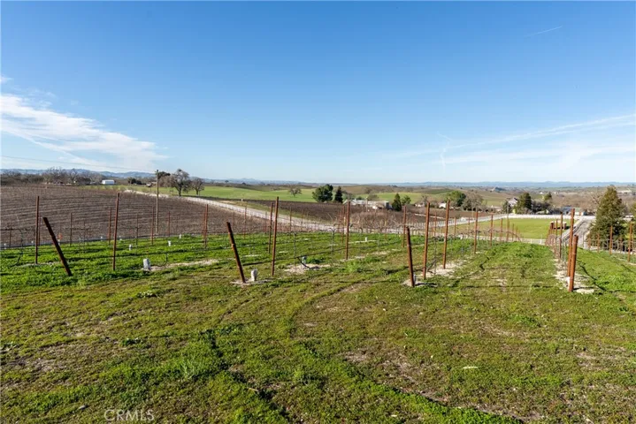 2 Acres Hobby Vineyard