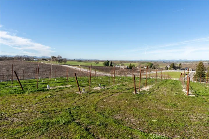 2 Acres Hobby Vineyard